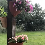 Pingitore Farma Luzzi