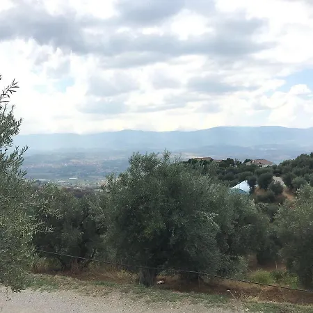 Pingitore Luzzi