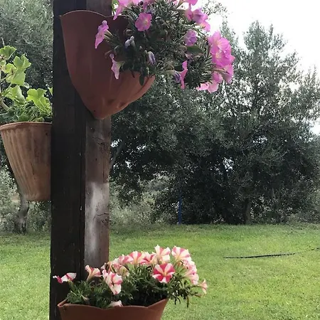 Pingitore مزرعة للإقامة Luzzi