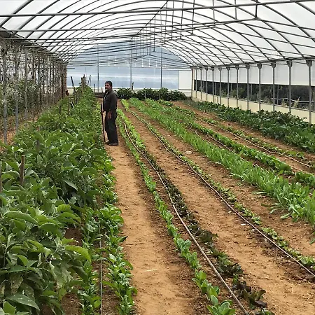 مزرعة للإقامة Pingitore