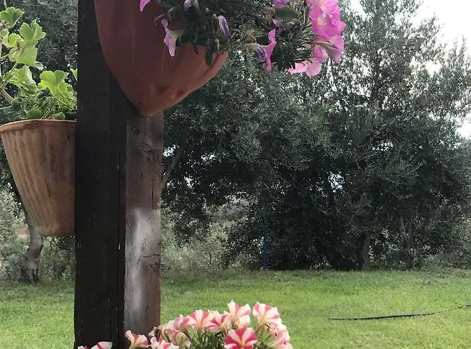 Pingitore 农家乐 Luzzi